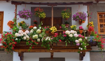 FLORISTERÍA ACACIA Y METODOS DE RIEGO